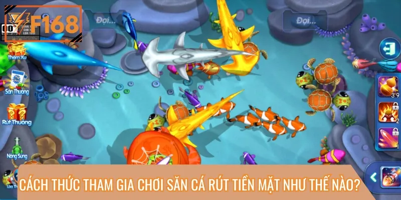 Cách tham gia trải nghiệm bắn cá đơn giản với 4 bước cơ bản