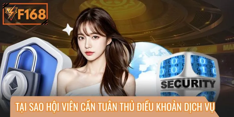 Hội viên cần tuân thủ trọn bộ điều khoản và dịch vụ